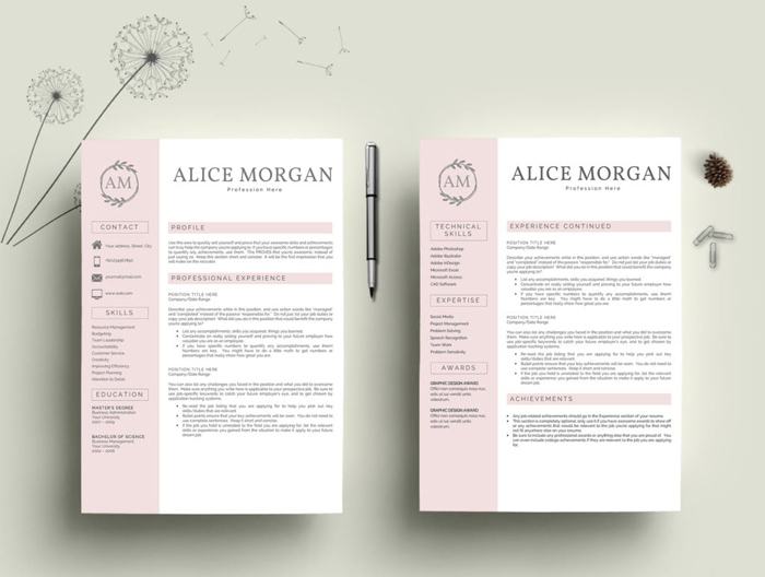 Professional Resume Template